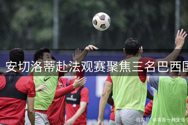 安切洛蒂赴法观赛聚焦三名巴西国脚表现